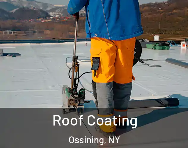  Roof Coating Ossining, NY