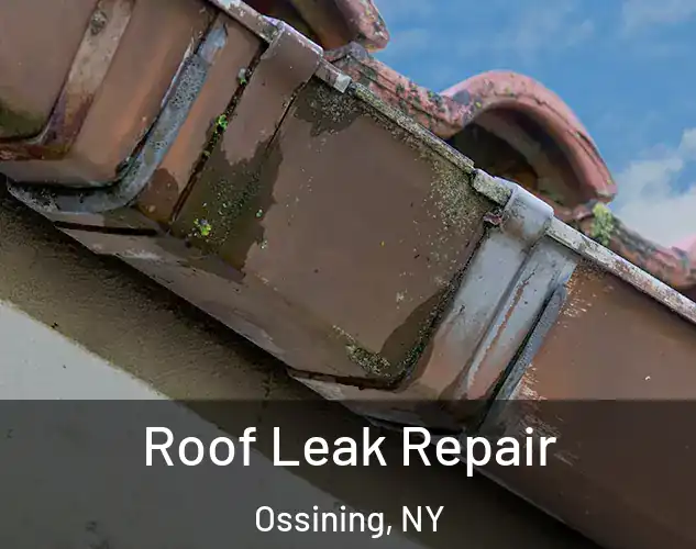  Roof Leak Repair Ossining, NY