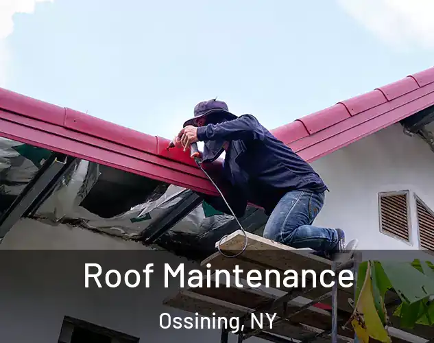  Roof Maintenance Ossining, NY
